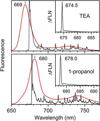 Asymmetry in the Qy Fluorescence and Absorption Spectra of Chlorophyll a Pertaining to Exciton Dynamics